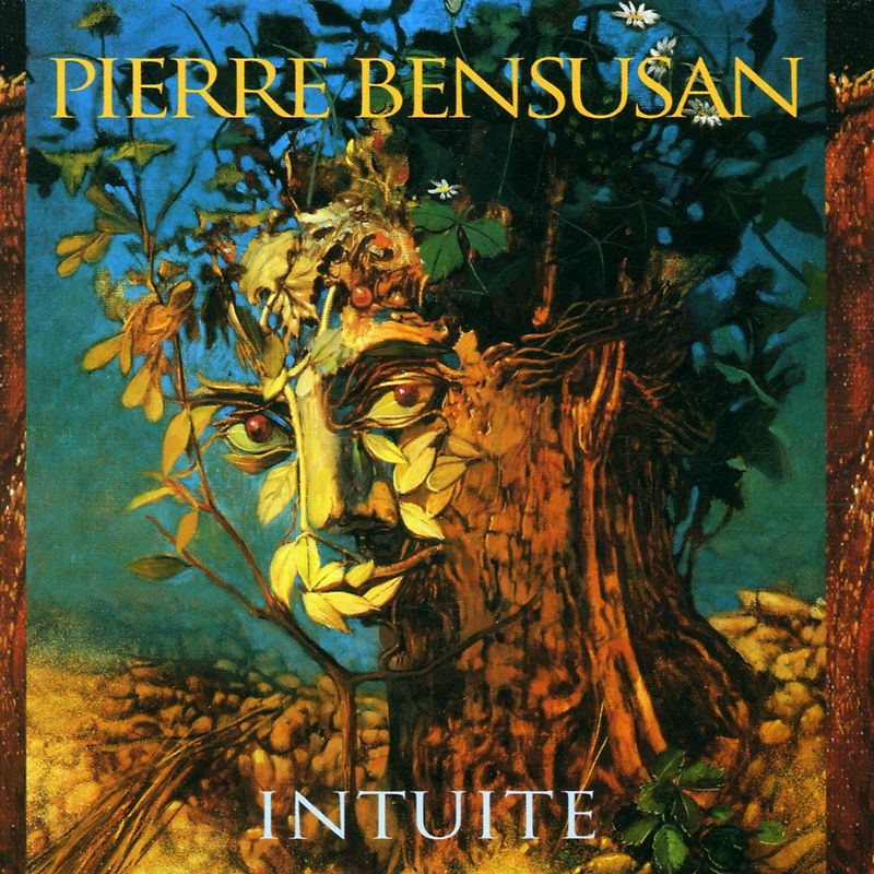 Pierre Bensusan - Intuite(Germany Only/Not for E