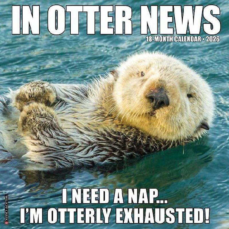 In Otter News 2026 12 X 12 Wall Calendar