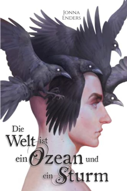 Die Welt ist ein Ozean und ein Sturm: Illustrierte Schmuckausgabe