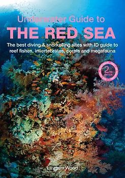 An Underwater Guide to the Red Sea