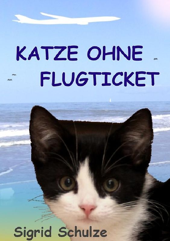 Katze ohne Flugticket