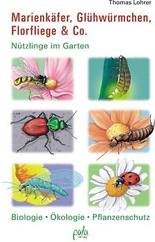 Marienkäfer, Glühwürmchen, Florfliege & Co.