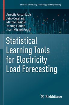 Statistical Learning Tools for Electricity Load Forecasting