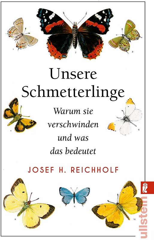 Unsere Schmetterlinge