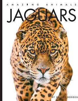 Jaguars