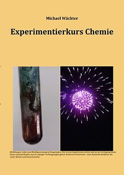 Chemie Grundwissen / Experimentierkurs Chemie - mit Auswertungshilfen und Versuchsvorschriften für Schulversuche in AGs und Unterricht
