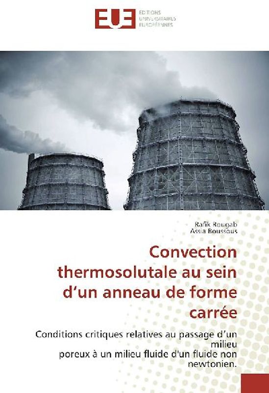Convection thermosolutale au sein d'un anneau de forme carrée