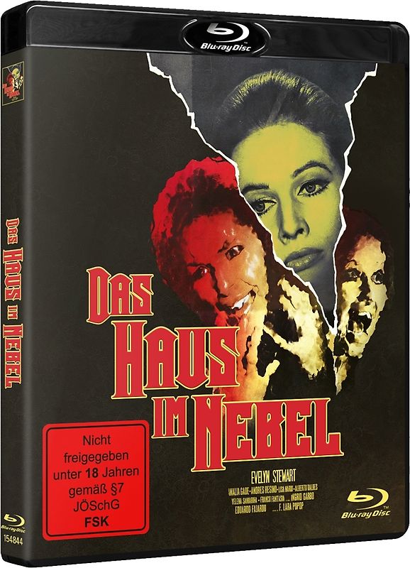 Das Haus Im Nebel-Cover A Blu-ray Disc