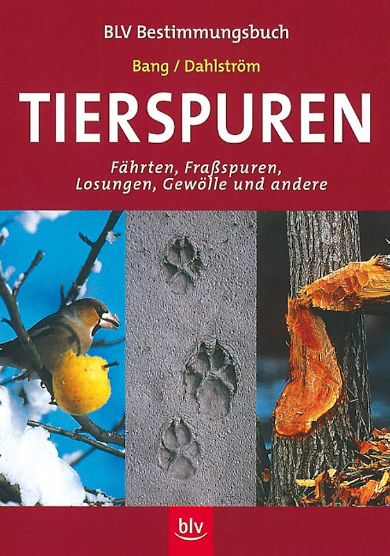 Tierspuren