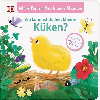 Mein Pop-up-Buch zum Staunen. Wo kommst du her, kleines Küken?