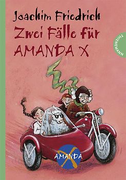 Zwei Fälle für Amanda X