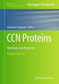 CCN Proteins