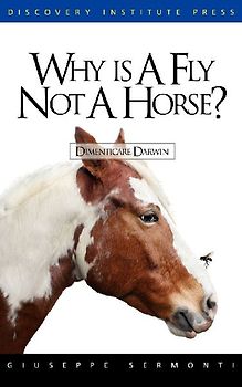 Why Is a Fly Not a Horse?