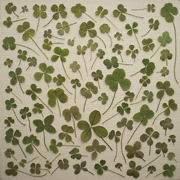 Moore,Daniel Martin - Turned Over To Dreams