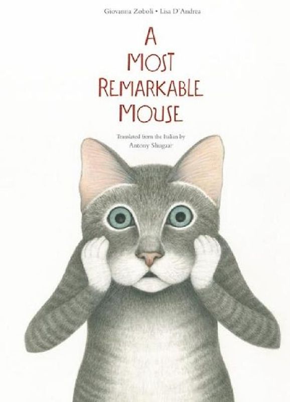 A Most Mysterious Mouse