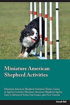 Miniature American Shepherd Activities Miniature American Shepherd Activities (Tricks, Games & Agility) Includes: Miniature American Shepherd Agility, ... Advanced Tricks, Fun Games, plus New Content