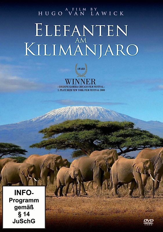 Elefanten am Kilimanjaro DVD