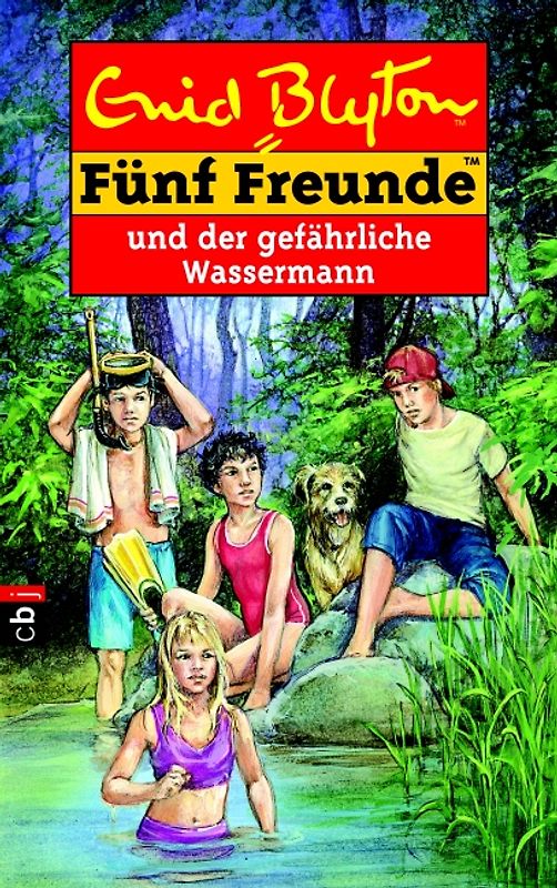 Fünf Freunde. Spannende Geschichten für Jungen und Mädchen / Fünf Freunde und der gefährliche Wassermann - Bd. 43