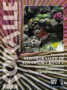 Steinkorallen im Aquarium