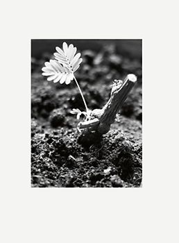 Peter Piller präsentiert "Altern als Problem für Künstler"