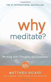 Why Meditate: Working with Thoughts and Emotions - Matthieu Ricard