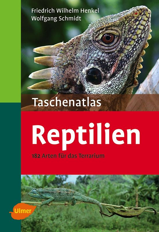 Reptilien