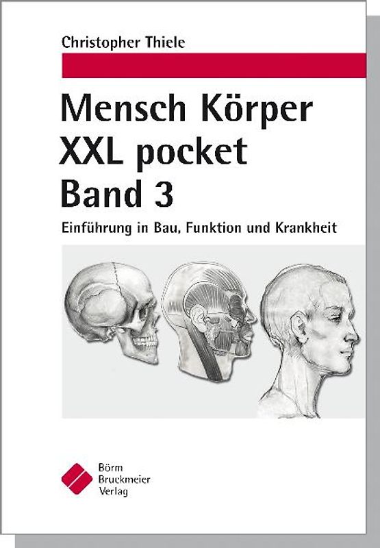 Mensch Körper XXL pocket. Band 3