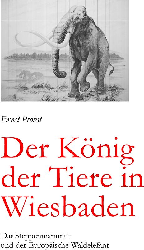 Der König der Tiere in Wiesbaden