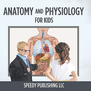 Anatomy And Physiology For Kids
