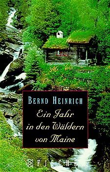 Ein Jahr in den Wäldern von Maine