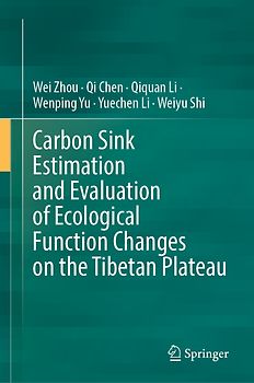 Carbon Sink Estimation and Evaluation of Ecological Function Changes on the Tibetan Plateau