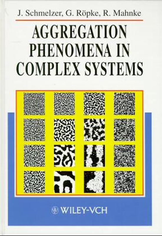 Aggregation Phenomena in Complex Systems