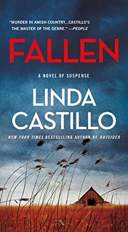 Fallen: A Novel of Suspense (The Kate Burkholder, Band 13)