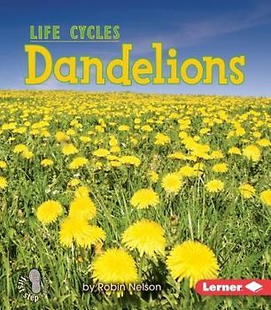 Dandelions