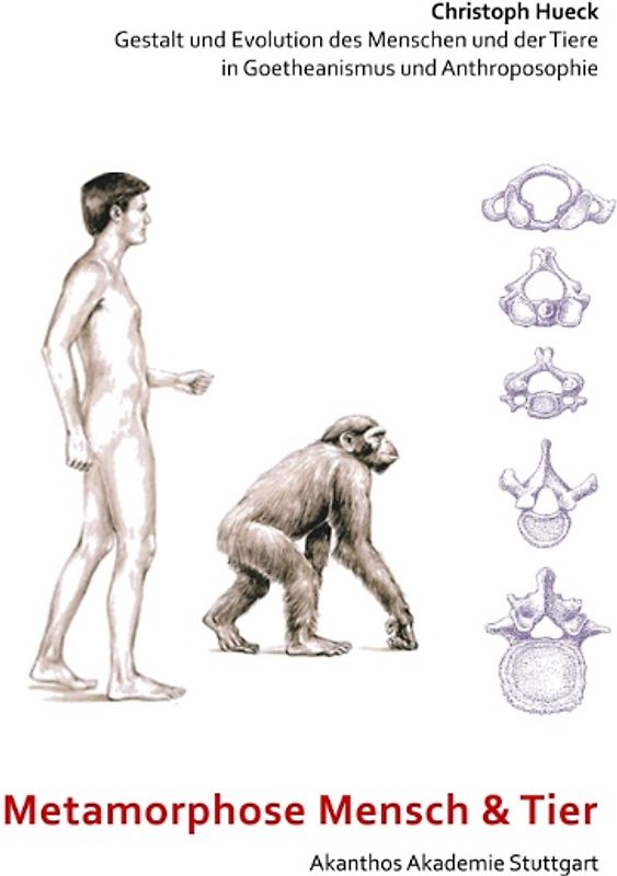 Metamorphose Mensch und Tier