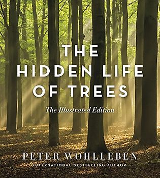 Hidden Life of Trees: The Illustrated Edition (David Suzuki Institute)