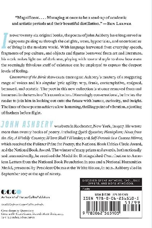 Commotion of the Birds