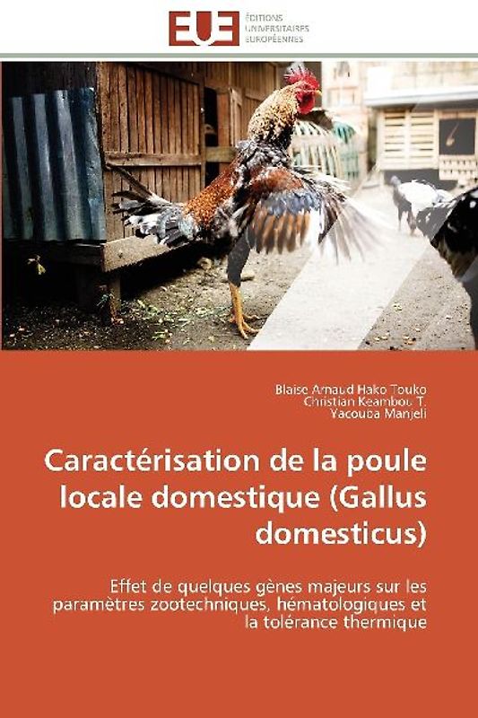 Caractérisation de la poule locale domestique (Gallus domesticus)