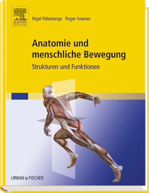 Anatomie und menschliche Bewegung. Strukturen und Funktionen