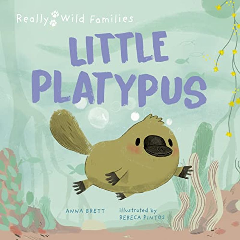 Little Platypus: A Day in the Life of a Platypus Puggle (Really Wild Families)