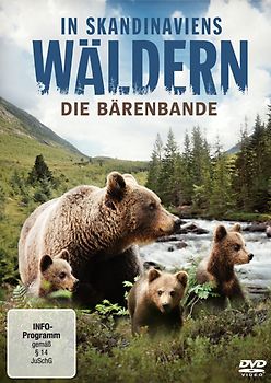 In Skandinaviens Wäldern - Die Bärenbande DVD