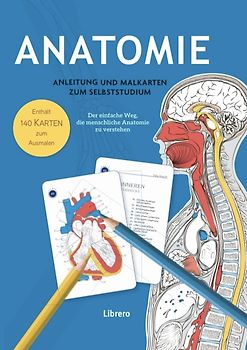 Anatomie – Anleitung und Malkarten zum Selbststudium