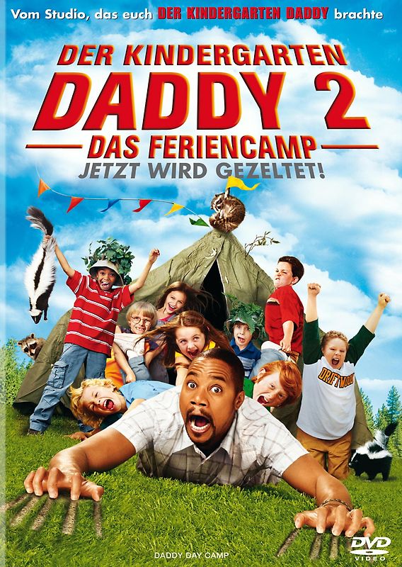 Der Kindergarten Daddy 2 - Das Feriencamp DVD