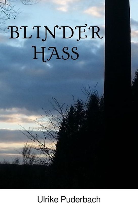 Hannover-Krimis / Blinder Hass