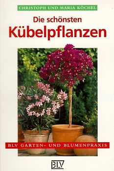 Die schönsten Kübelpflanzen. Auswahl, Standort, Pflege
