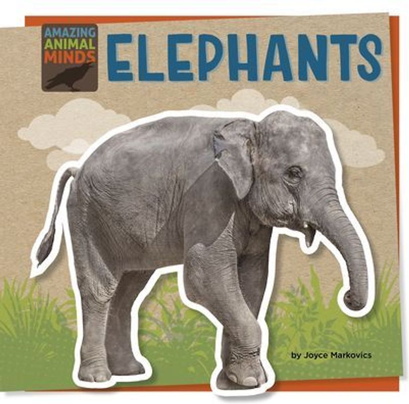 Elephants
