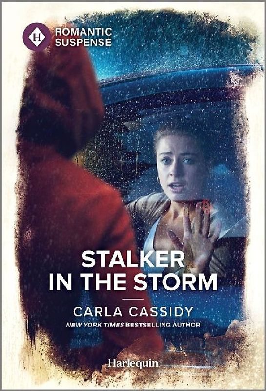 Stalker in the Storm