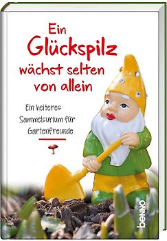 Ein Glückspilz wächst selten von allein