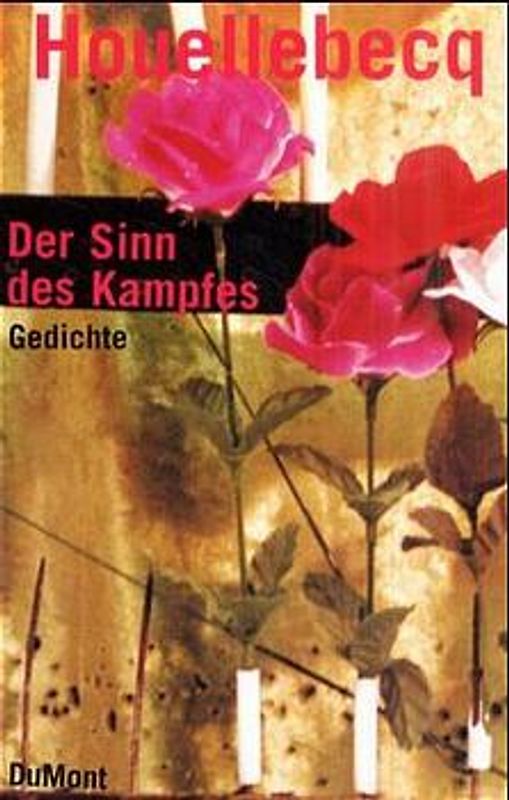 Der Sinn des Kampfes