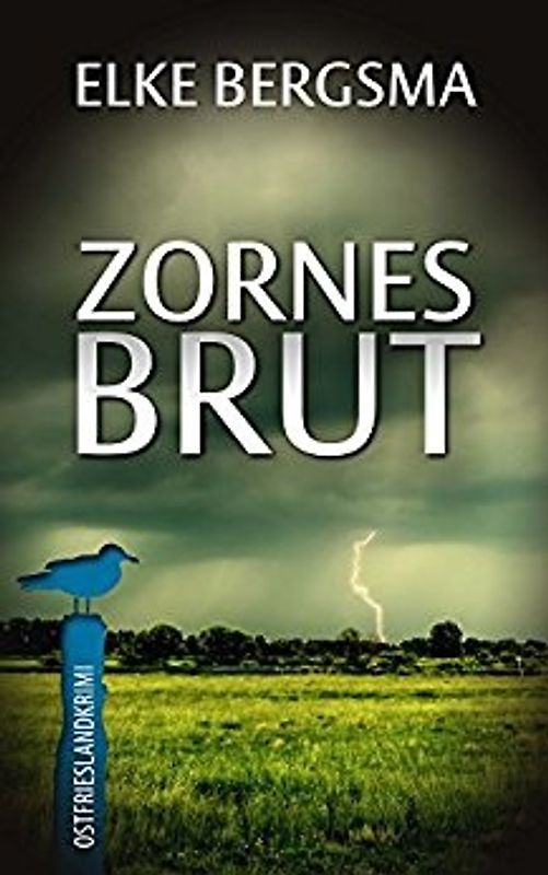 Zornesbrut: Büttner und Hasenkrug ermitteln - Elke Bergsma [Taschenbuch]